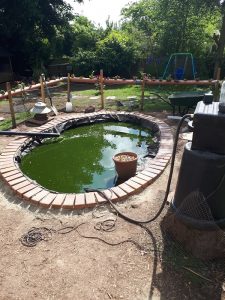 Pond Surround