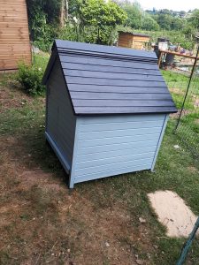 The new old hen house